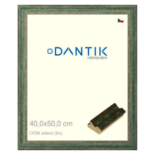 DANTIK rámeček 40x50 | LYON zelená (Plexi Čiré)