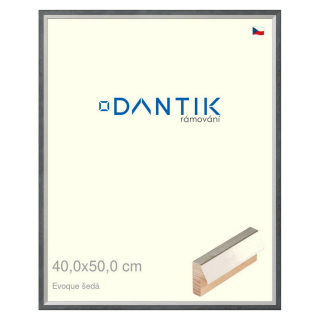 DANTIK rámeček 40x50 | EVOQUE šedá (Plexi Čiré)