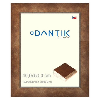 DANTIK rámeček 40x50 | TOMAS bronz velká (Plexi Čiré)