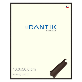 DANTIK rámeček 40x50 | ALU profil 7001 Hnědá matná (Plexi Čiré)