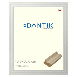 DANTIK rámeček 40x50 | LYON Bílá (Plexi Čiré)