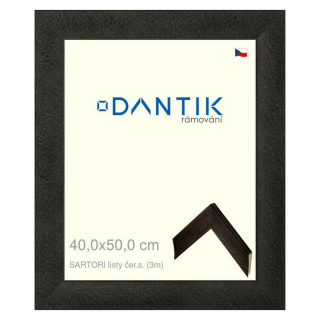 DANTIK rámeček 40x50 | SARTORI listy čer.s. (Plexi Čiré)