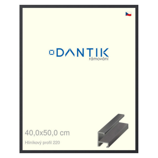 DANTIK rámeček 40x50 | ALU profil 6220 Černá matná (Plexi Čiré)