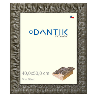DANTIK rámeček 40x50 | Dora Silver (Plexi Čiré)