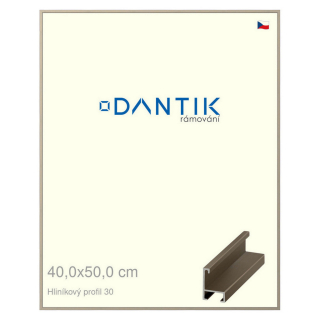 DANTIK rámeček 40x50 | ALU profil 6030 champagne (Plexi Čiré)