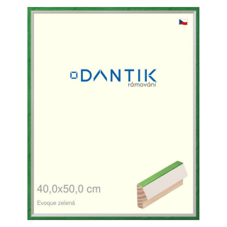 DANTIK rámeček 40x50 | EVOQUE zelená (Plexi Čiré)