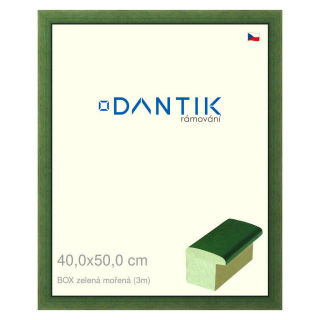 DANTIK rámeček 40x50 | BOXzelená mořená (Plexi Čiré)
