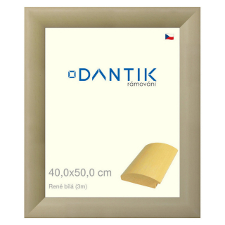 DANTIK rámeček 40x50 | René bílá (Plexi Čiré)