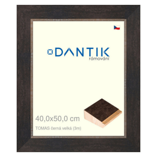 DANTIK rámeček 40x50 | TOMAS černá velká (Plexi Čiré)
