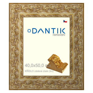 DANTIK rámeček 40x50 | KŘÍDLO zdobné zlaté (Plexi Čiré)