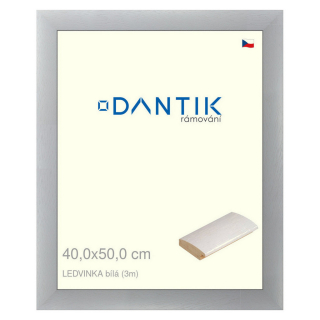 DANTIK rámeček 40x50 | LEDVINKA bílá (Plexi Čiré)