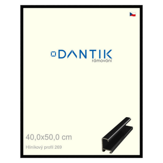 DANTIK rámeček 40x50 | ALU profil 7269 Černá lesklá (Plexi Čiré)