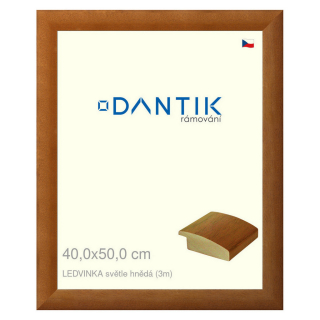 DANTIK rámeček 40x50 | LEDVINKA světle hnědá (Plexi Čiré)