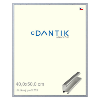 DANTIK rámeček 40x50 | ALU profil 7269 Sstříbrná broušená (Plexi Čiré)