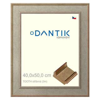 DANTIK rámeček 40x50 | TOOTH stříbrná (Plexi Čiré)