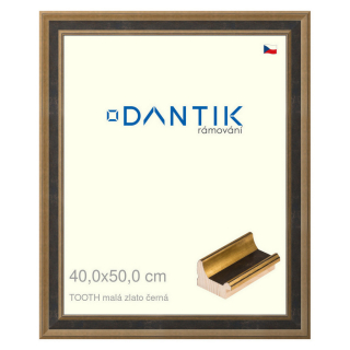 DANTIK rámeček 40x50 | TOOTH malá zlato černá (Plexi Čiré)