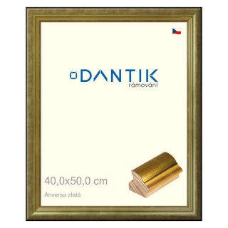DANTIK rámeček 40x50 | ANIVERSA zlatá (Plexi Čiré)