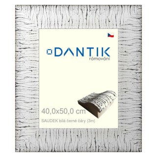 DANTIK rámeček 40x50 | SAUDEK Bílá černé čáry (Plexi Čiré)