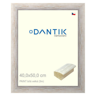 DANTIK rámeček 40x50 | PAINT bílá velká (Plexi Čiré)