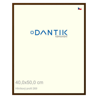 DANTIK rámeček 40x50 | ALU profil 7269 Hnědá umbra broušená (Plexi Čiré)