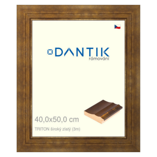 DANTIK rámeček 40x50 | TRITON široký zlatý (Plexi Čiré)