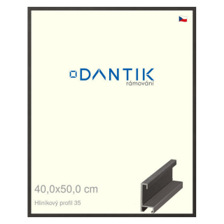 DANTIK rámeček 40x50 | ALU profil 6035 Dýha černá (Plexi Čiré)