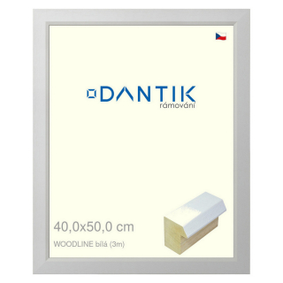DANTIK rámeček 40x50 | WOODLINE bílá (Plexi Čiré)