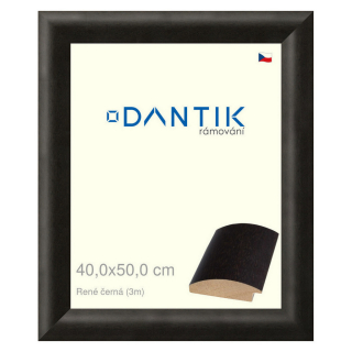 DANTIK rámeček 40x50 | René černá (Plexi Čiré)