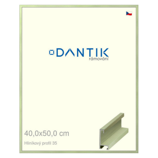 DANTIK rámeček 40x50 | ALU profil 6035 Dýha barevná zelená pastel (Plexi Čiré)