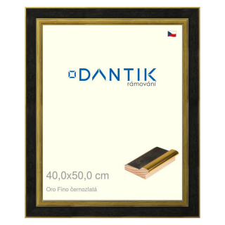 DANTIK rámeček 40x50 | Oro Fino černozlatá (Plexi Čiré)