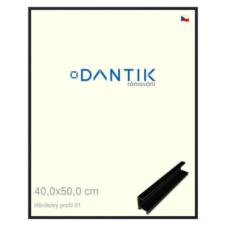 DANTIK rámeček 40x50 | ALU profil 7001 Černá matná (Plexi Čiré)