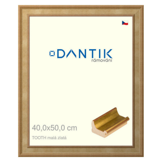 DANTIK rámeček 40x50 | TOOTH malá zlatá (Plexi Čiré)