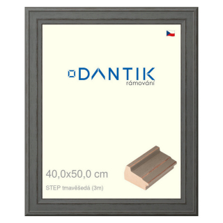 DANTIK rámeček 40x50 | STEP tmavěšedá (Plexi Čiré)