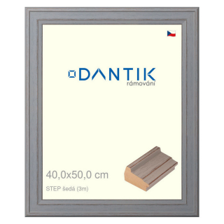 DANTIK rámeček 40x50 | STEP šedá (Plexi Čiré)