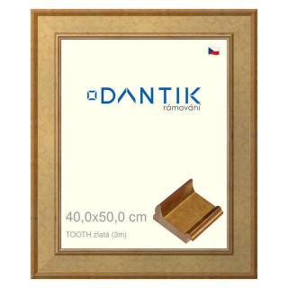 DANTIK rámeček 40x50 | TOOTH zlatá (Plexi Čiré)