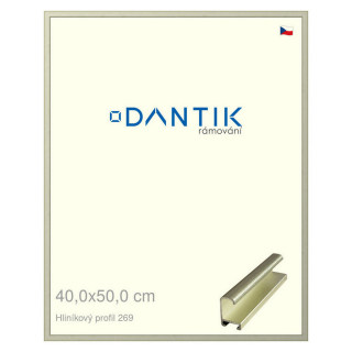 DANTIK rámeček 40x50 | ALU profil 7269 Šedá Pyrit broušená (Plexi Čiré)