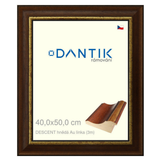 DANTIK rámeček 40x50 | DESCENT hnědá Au linka (Plexi Čiré)