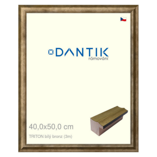 DANTIK rámeček 40x50 | TRITON bílý bronz (Plexi Čiré)