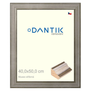 DANTIK rámeček 40x50 | Museo stříbrná (Plexi Čiré)