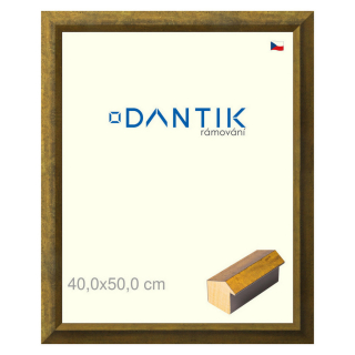 DANTIK rámeček 40x50 | Forgia Gold (Plexi Čiré)