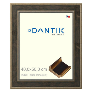 DANTIK rámeček 40x50 | TOOTH zlato černá (Plexi Čiré)