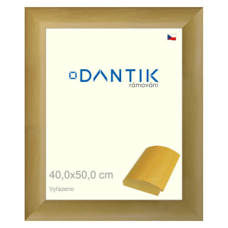 DANTIK rámeček 40x50 | Vyřazeno | RENÉ přírodní (Plexi Čiré)
