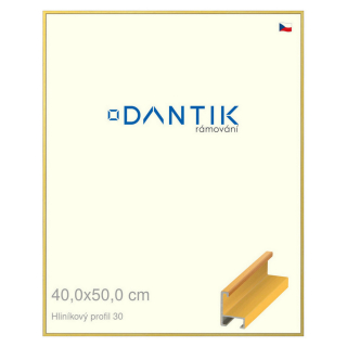 DANTIK rámeček 40x50 | ALU profil 6030 Dýha barevná žlutá (Plexi Čiré)