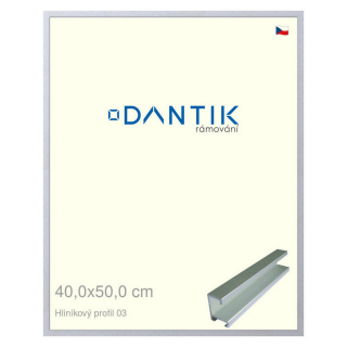 DANTIK rámeček 40x50 | ALU profil 7003 Stříbrná matná (Plexi Čiré)
