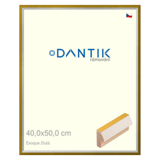 DANTIK rámeček 40x50 | EVOQUE žlutá (Plexi Čiré)