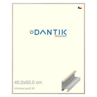 DANTIK rámeček 40x50 | ALU profil 6030 Dýha slovnová kost (Plexi Čiré)