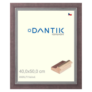DANTIK rámeček 40x50 | AMALFI fialová (Plexi Čiré)