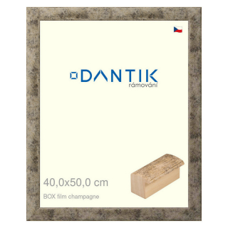 DANTIK rámeček 40x50 | BOX film champagne (Plexi Čiré)