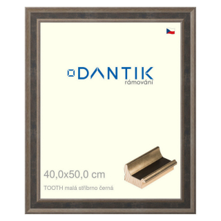 DANTIK rámeček 40x50 | TOOTH malá stříbrno černá (Plexi Čiré)