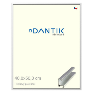 DANTIK rámeček 40x50 | ALU profil 7269 Stříbrná lesklá (Plexi Čiré)